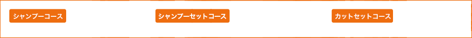 シャンプーコース:シャンプー＋ブローのみ,シャンプーセットコース:シャンプー＋各オプション＋仕上げ,カットセットコース:シャンプーセット＋3カ所以上のカット