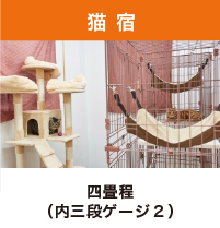 猫宿：四畳程（内三段ゲージ２）