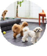 フリースペース